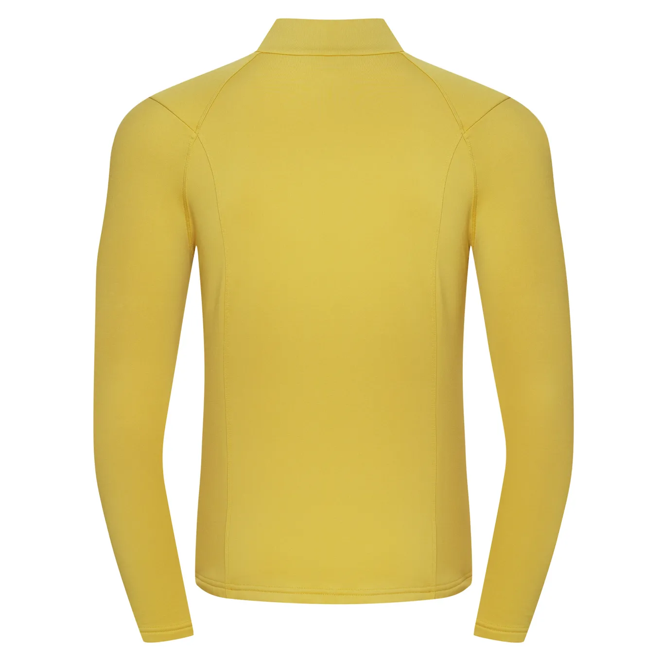 Fjord Nansen Bluzy|Bluza VIK 1/4 ZIP MEN amber yellow
