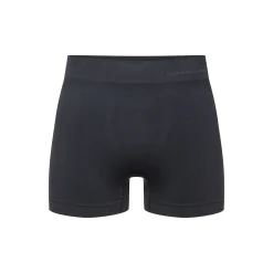 Fjord Nansen Bielizna|Bokserki RIFFE SHORTS MEN rocky grey