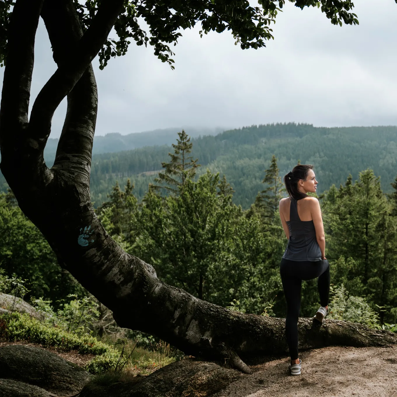 Fjord Nansen Koszulki|Bielizna|Koszulka RIX SPORTS SLEEVELESS WOMEN rocky grey